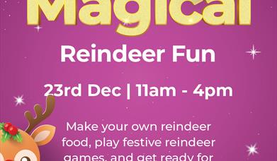 reindeer plus event info copy