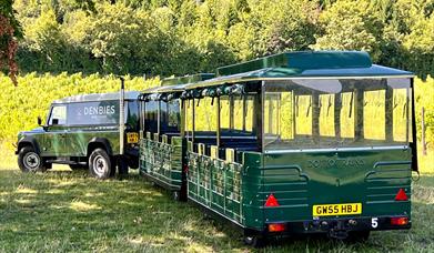 Vineyard Train