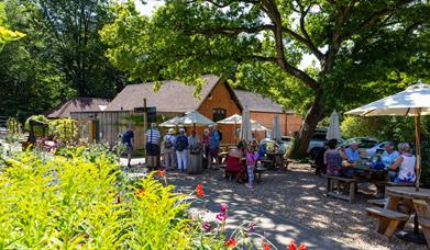The Tea Shop at Watts Gallery Artists' Village