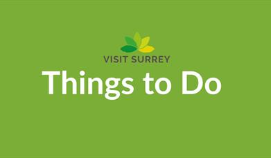 Visit Surrey Things to do logo