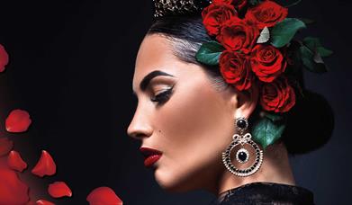 Beautiful woman, with red roses in slick back bun. Red petals falling around her.