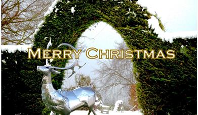 Fizz and Firelight – Christmas all Wrapped Up. It’s here! At High Clandon Vineyard
