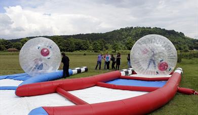 Team Building at Denbies Wine Estate