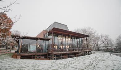 Winter Festival Finale