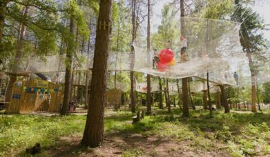 Nets Adventure experience at Alice Holt Forest