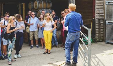 Greyfriars Vineyard Tours and Wine Tasting