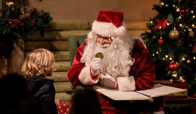 Meet Father Christmas at Bocketts Farm