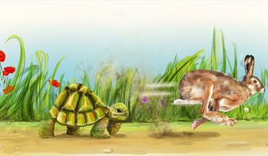 Tortoise and a hare running. Green garden background