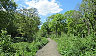 Holmwood Common