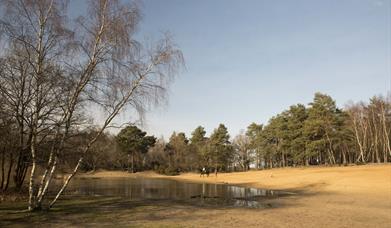 Horsell Common Sandpits