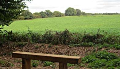 Hydon's Ball and Heath