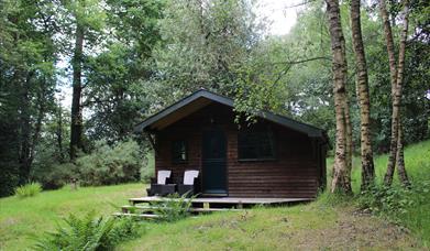 Lockhurst Hatch Farm holiday accommodation