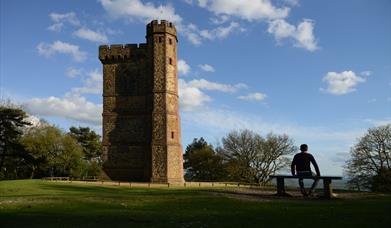 Leith Hill Tower - image National Trust