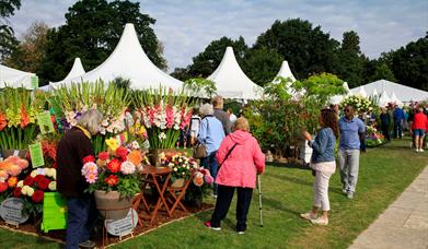 Visitors enjoying Wisley Flower Show