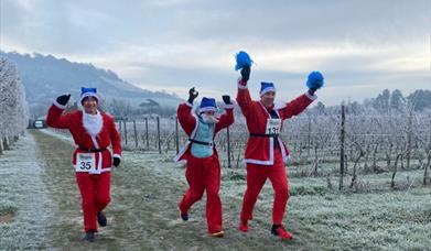 Denbies Santa Run