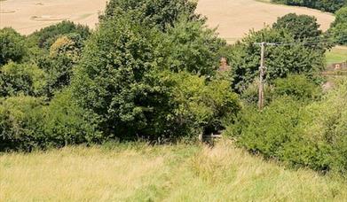 Hambledon Village and Speltham Down