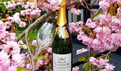 High Clandon Estate Vineyard