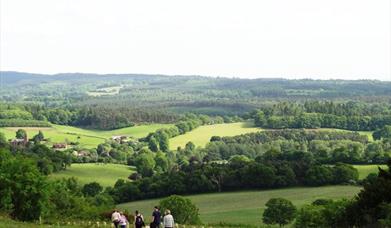 Walking the North Downs Way
