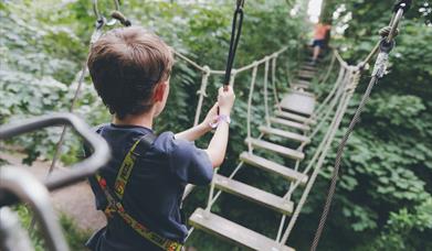 Wild Wood Adventure