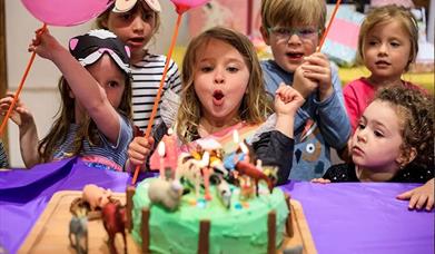 Bocketts Farm Birthday photos