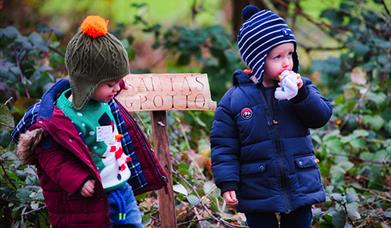 Follow the Christmas trail