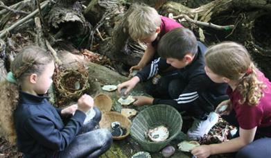 Learn about the Stone Age