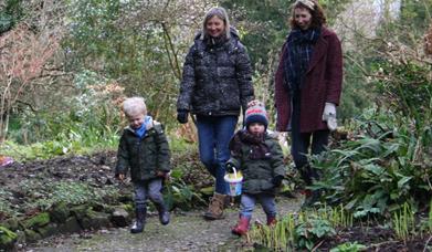 Follow the trail around the gardens