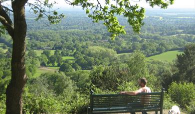 Viewpoint on Greensand Way